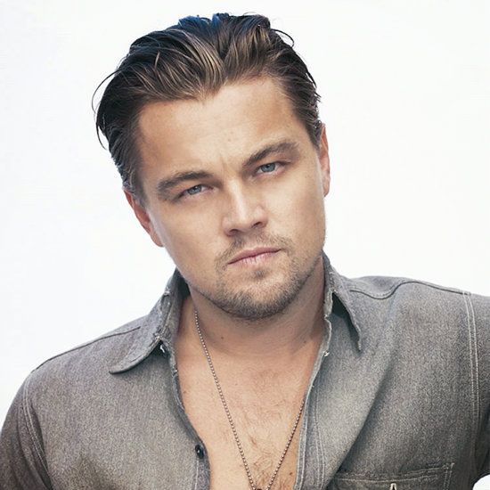 Leonardo DiCaprio, Leonardo DiCaprio