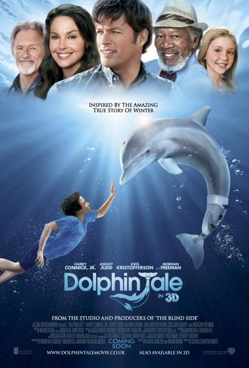 Dolphin Tale(Poster)