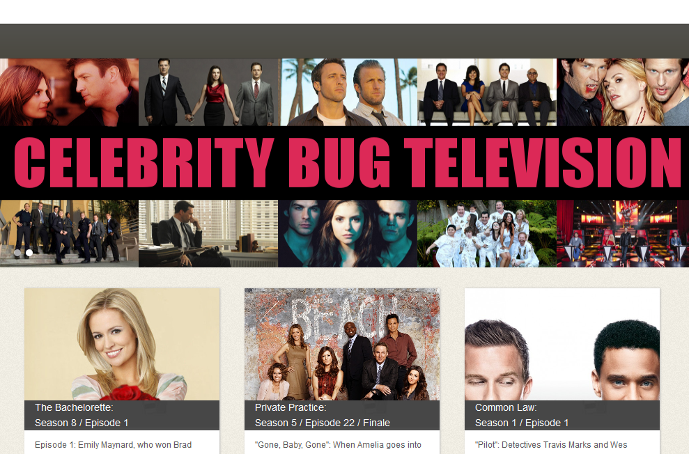 Celebrity Bug Television