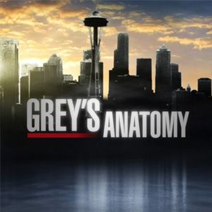 Grey's Anatomy (Season 8)