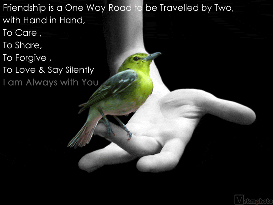 Bird on Hand02 i am always with you orkut scraps