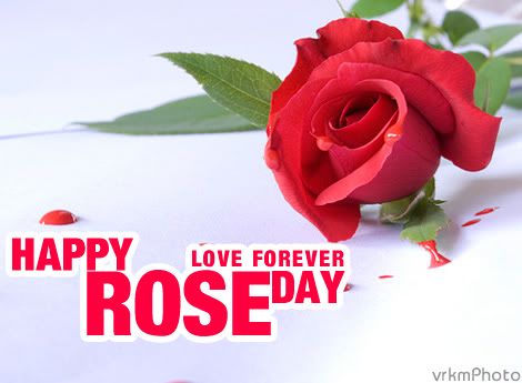happy rose day quotes. rose day quotes images. quotes