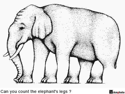 Elephant Illusion