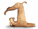 funny scraps funny orkut scraps Welcome to vrkmphoto