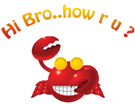 hi scraps hi orkut scraps Welcome to vrkmphoto