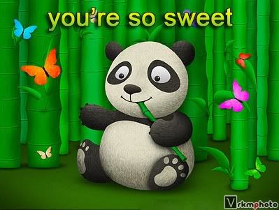 Sweet Panda