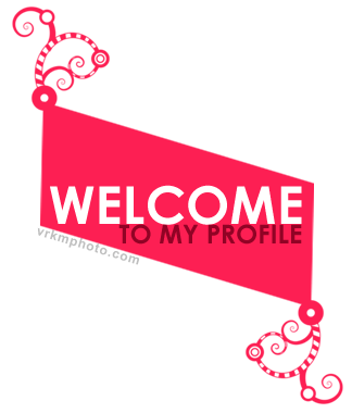 welcome to my profile very beautiful orkut about me season