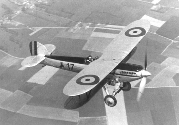 Firefly_y17.jpg