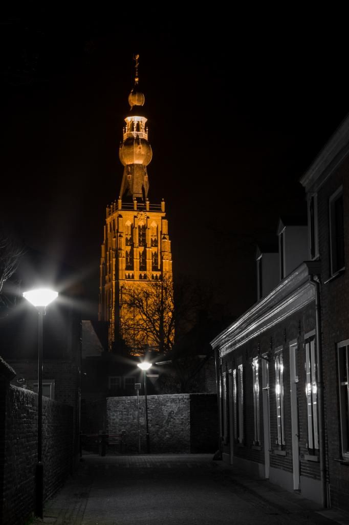 Fotografie