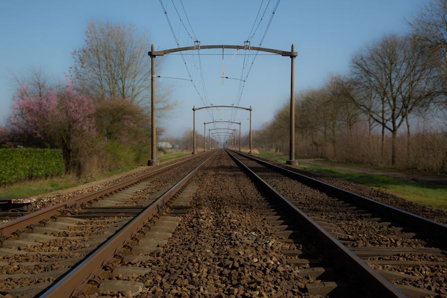 Fotografie