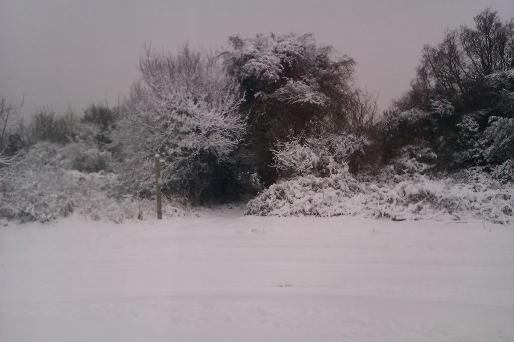 [Image: snowFeb2012109.jpg]