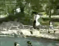 2lvy87l.gif