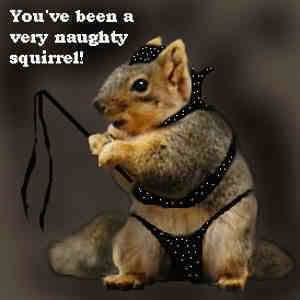 kinky-squirrel.jpg