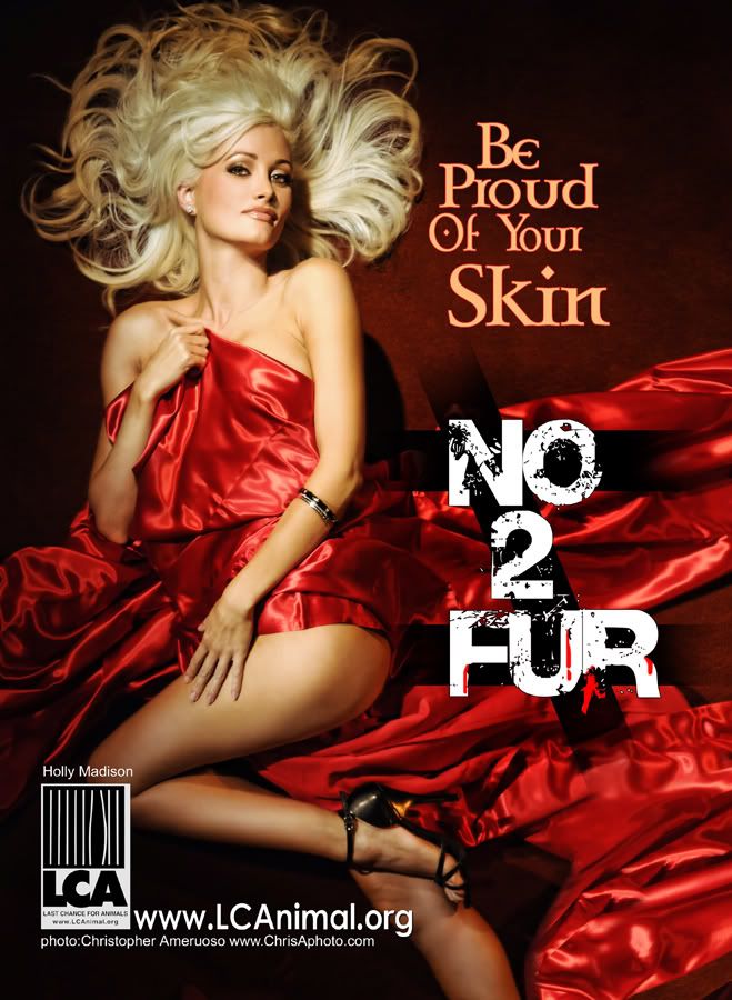 no fur dog