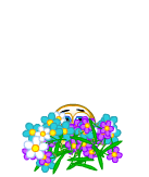 flowerthrow.gif Congrats Flowers image by p1pe09