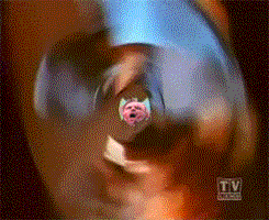 813095fff.gif