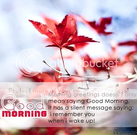 goodmorning greeting good morning greeting