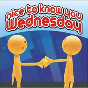 NTKYW, Nice To Know You Wedneday, onlie q+a