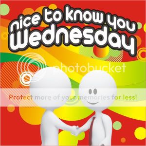 Nice to Know You Wednesdays, memes, online q + a