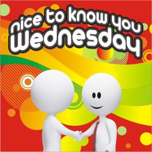 weekly meme, ntkwy, nice to know you wednesday, online q+a